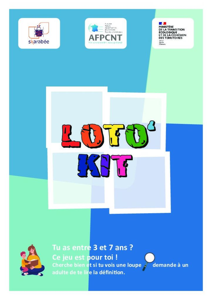 thumbnail of LOTOKIT-Cartons