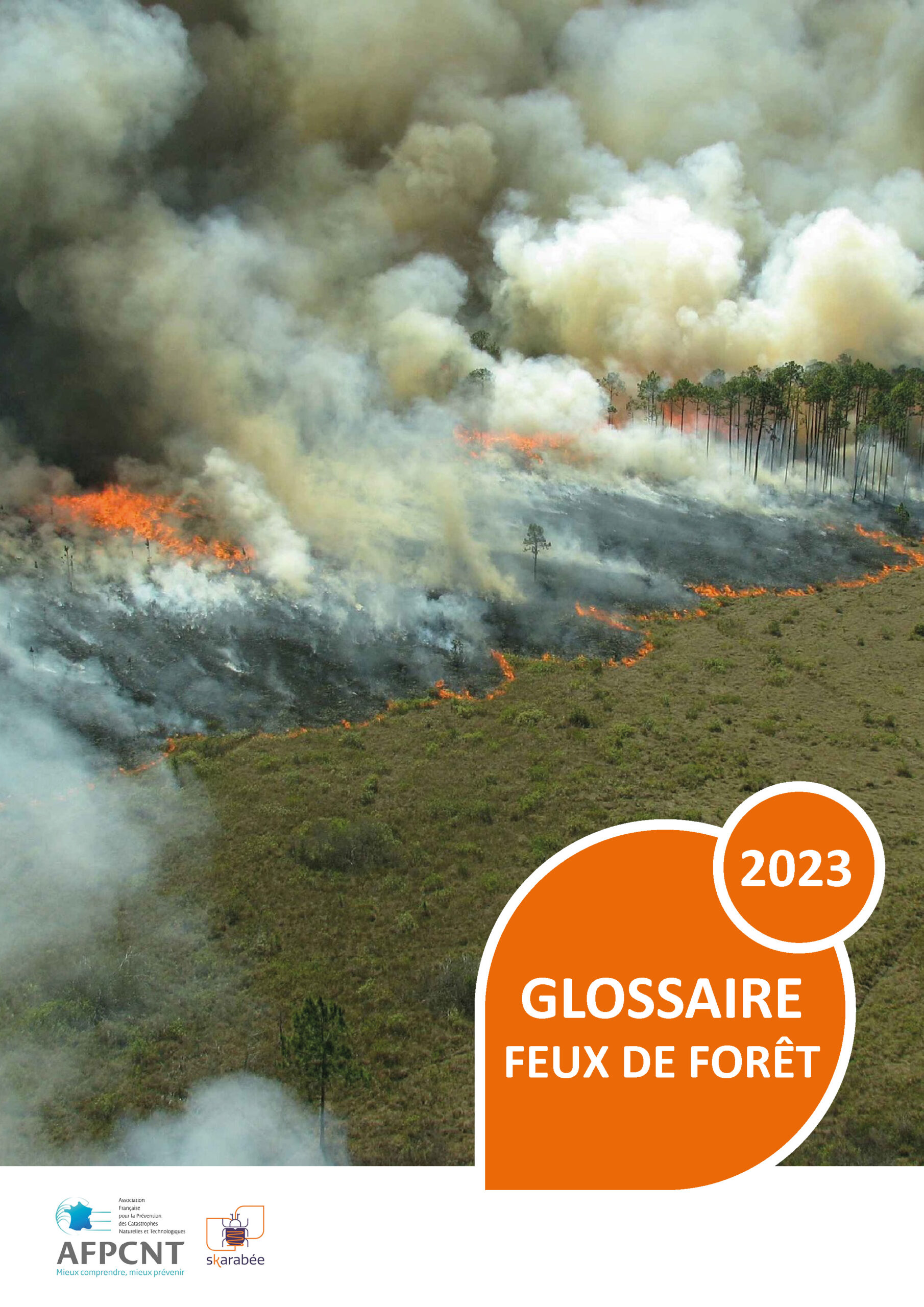 Glossaire feux de forêt